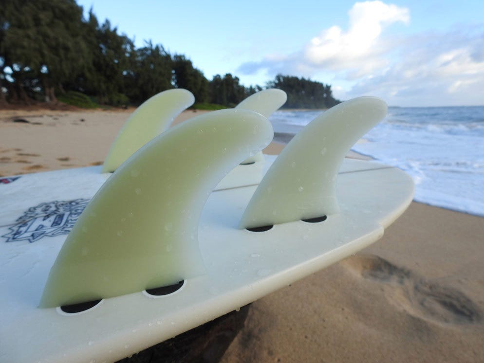 2961P900_sample-photo4_03[1].jpg